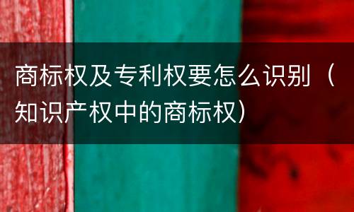 商标权及专利权要怎么识别（知识产权中的商标权）
