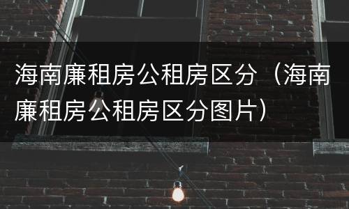 海南廉租房公租房区分（海南廉租房公租房区分图片）