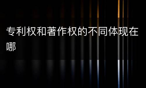 专利权和著作权的不同体现在哪