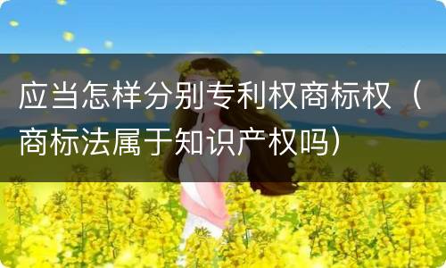 应当怎样分别专利权商标权（商标法属于知识产权吗）