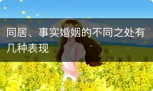 同居、事实婚姻的不同之处有几种表现