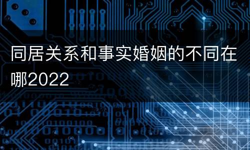 同居关系和事实婚姻的不同在哪2022
