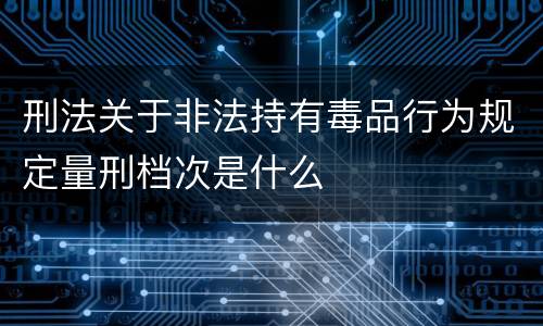 刑法关于非法持有毒品行为规定量刑档次是什么