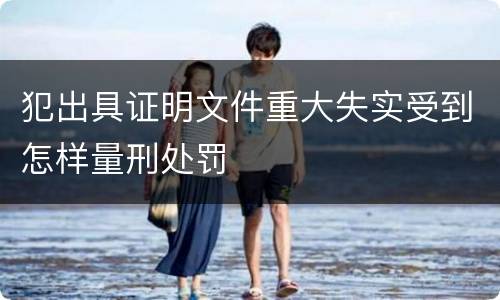 犯出具证明文件重大失实受到怎样量刑处罚