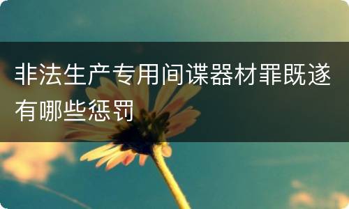 非法生产专用间谍器材罪既遂有哪些惩罚