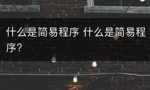 什么是简易程序 什么是简易程序?
