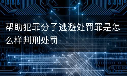 帮助犯罪分子逃避处罚罪是怎么样判刑处罚