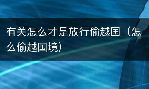 有关怎么才是放行偷越国（怎么偷越国境）