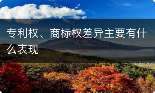 专利权、商标权差异主要有什么表现