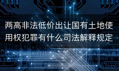 两高非法低价出让国有土地使用权犯罪有什么司法解释规定
