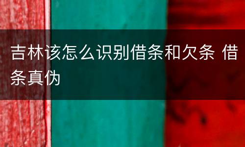 吉林该怎么识别借条和欠条 借条真伪