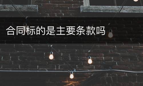合同标的是主要条款吗