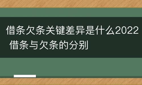 借条欠条关键差异是什么2022 借条与欠条的分别