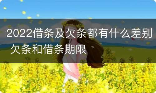 2022借条及欠条都有什么差别 欠条和借条期限