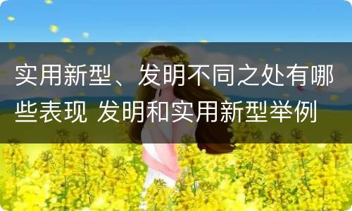 实用新型、发明不同之处有哪些表现 发明和实用新型举例