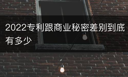 2022专利跟商业秘密差别到底有多少