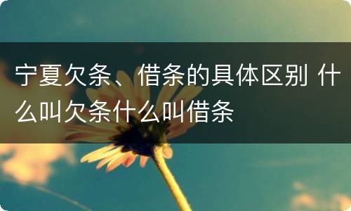 宁夏欠条、借条的具体区别 什么叫欠条什么叫借条