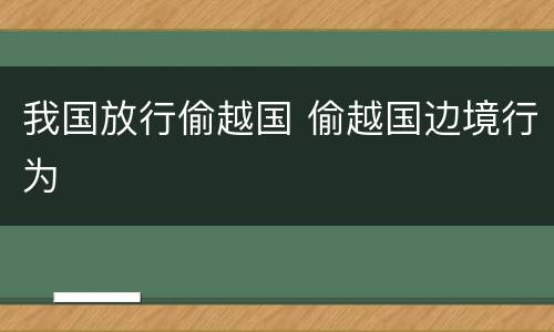 我国放行偷越国 偷越国边境行为