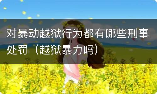 对暴动越狱行为都有哪些刑事处罚（越狱暴力吗）