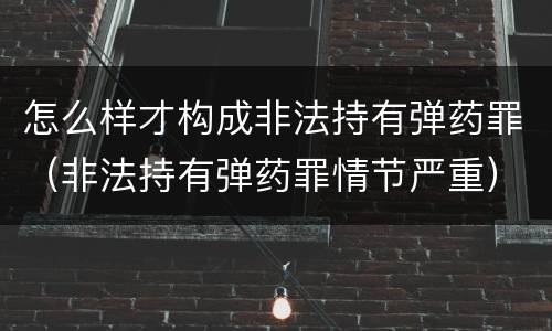 怎么样才构成非法持有弹药罪（非法持有弹药罪情节严重）
