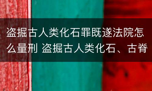 盗掘古人类化石罪既遂法院怎么量刑 盗掘古人类化石、古脊椎动物化石罪