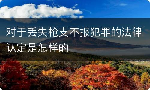 对于丢失枪支不报犯罪的法律认定是怎样的