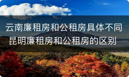 云南廉租房和公租房具体不同 昆明廉租房和公租房的区别