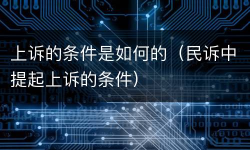 上诉的条件是如何的（民诉中提起上诉的条件）