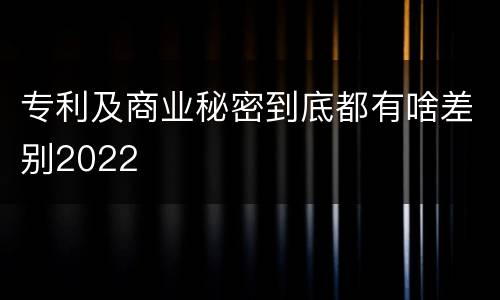 专利及商业秘密到底都有啥差别2022