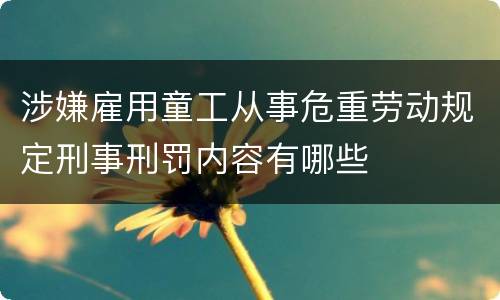 涉嫌雇用童工从事危重劳动规定刑事刑罚内容有哪些