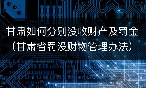 甘肃如何分别没收财产及罚金（甘肃省罚没财物管理办法）