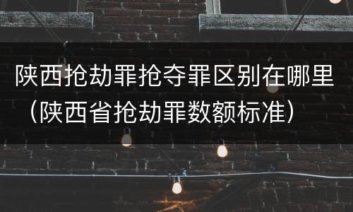 陕西抢劫罪抢夺罪区别在哪里（陕西省抢劫罪数额标准）