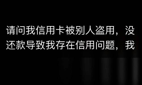 请问我信用卡被别人盗用，没还款导致我存在信用问题，我该怎么办