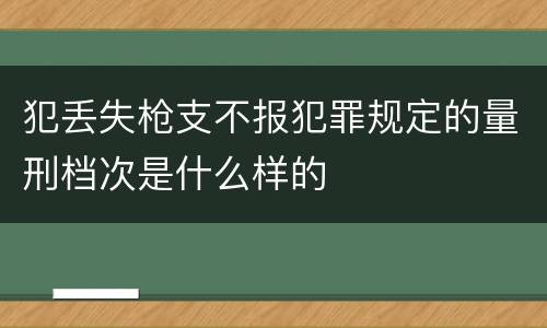 犯丢失枪支不报犯罪规定的量刑档次是什么样的