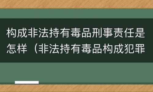 构成非法持有毒品刑事责任是怎样（非法持有毒品构成犯罪吗）