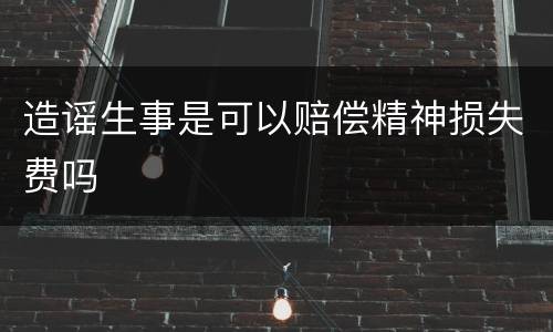 造谣生事是可以赔偿精神损失费吗