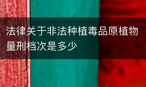 法律关于非法种植毒品原植物量刑档次是多少