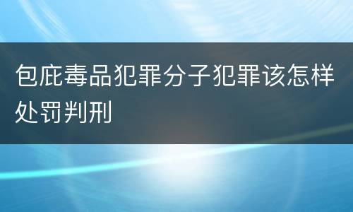 包庇毒品犯罪分子犯罪该怎样处罚判刑