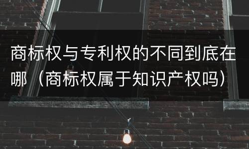 商标权与专利权的不同到底在哪（商标权属于知识产权吗）