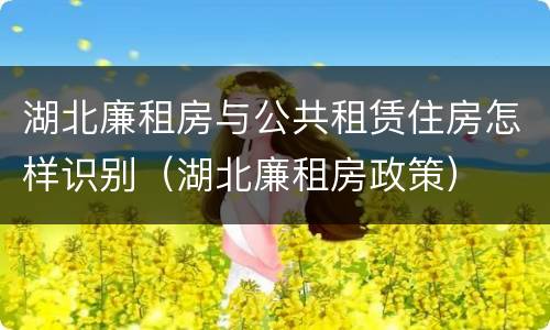 湖北廉租房与公共租赁住房怎样识别（湖北廉租房政策）