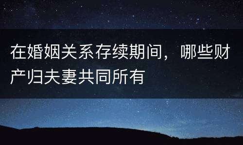 在婚姻关系存续期间，哪些财产归夫妻共同所有