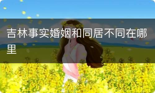 吉林事实婚姻和同居不同在哪里