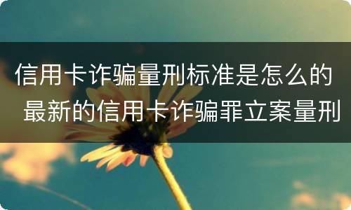 信用卡诈骗量刑标准是怎么的 最新的信用卡诈骗罪立案量刑标准