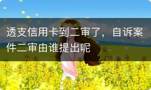 透支信用卡到二审了，自诉案件二审由谁提出呢