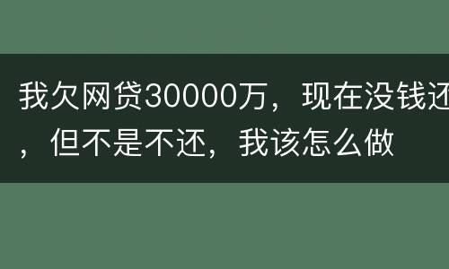 我欠网贷30000万，现在没钱还，但不是不还，我该怎么做