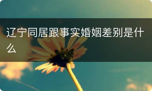 辽宁同居跟事实婚姻差别是什么