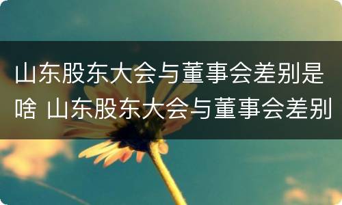 山东股东大会与董事会差别是啥 山东股东大会与董事会差别是啥原因