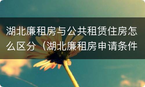 湖北廉租房与公共租赁住房怎么区分（湖北廉租房申请条件2019）