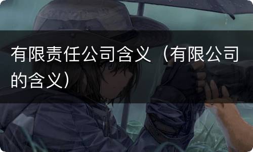 有限责任公司含义（有限公司的含义）