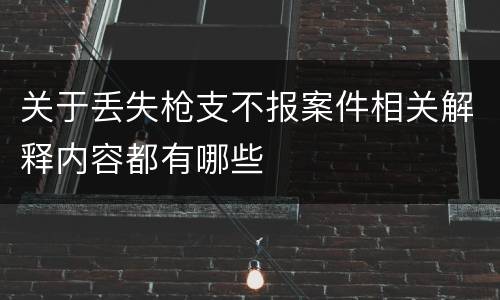 关于丢失枪支不报案件相关解释内容都有哪些